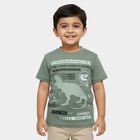 Boys' Muted Sage Green Cotton Crew Neck Casual T-Shirt, हल्का हरा, small