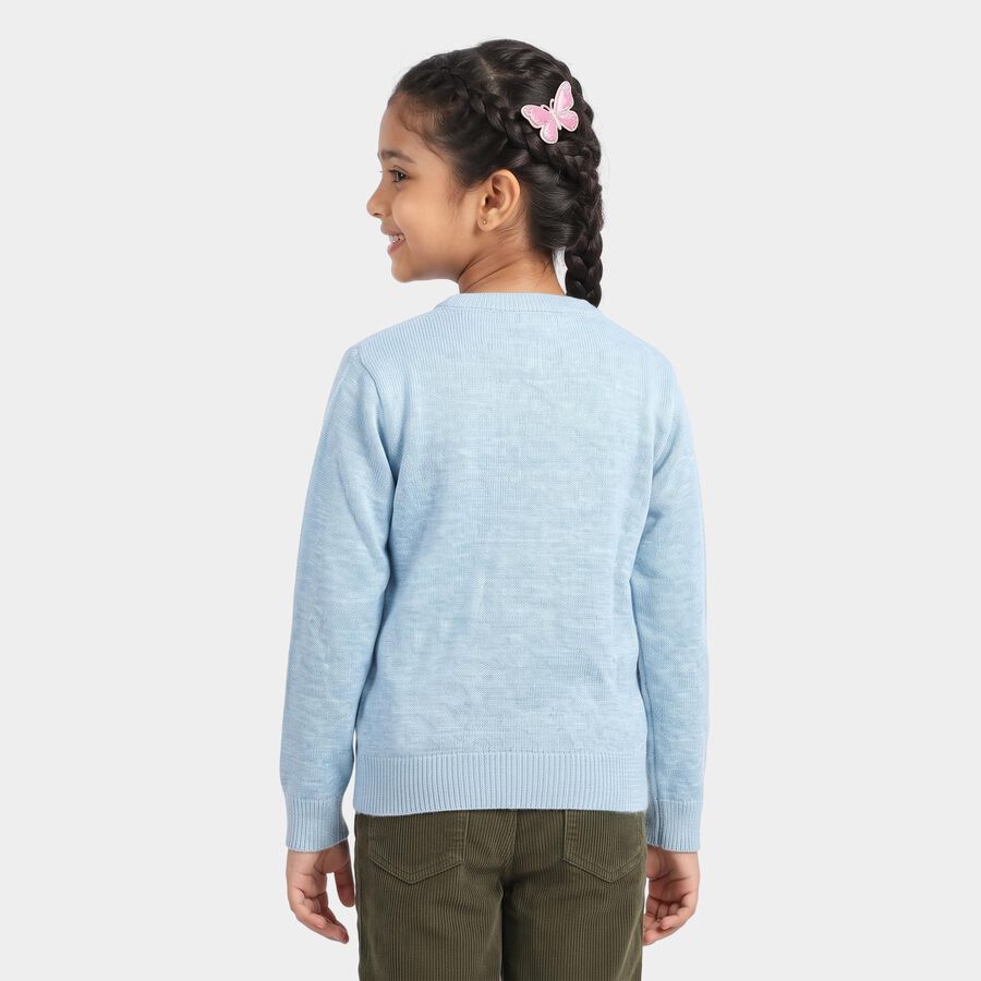 Girls Light Blue Crew Neck Printed Pullover, हल्का नीला, large