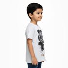 Boys Light Grey Crew Neck Casual Half Sleeve T-Shirt, एक्रू मिश्रित, small image number null
