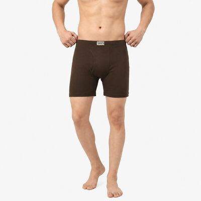 Men's Brown Regular Fit Solid Trunks