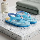 Boys' Blue Flip-Flop Slippers, नीला, small