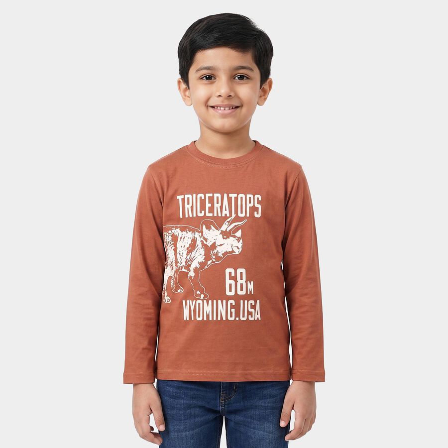 Boys Brown Cotton Blend Round Neck Regular Boys T-Shirt, Brown, large