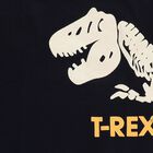 Boys Navy Blue Crew Neck Graphic Pullover, नेवी ब्लू, small image number null