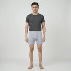 Men's Grey Regular Fit Trunks, मिश्रित हल्का ग्रे, small