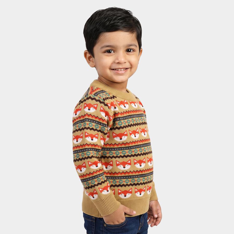 Boys' Beige Crew Neck Printed Pullover, Beige, large