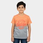 Boys Pink Cotton Round Neck Casual Boys T-Shirt, गुलाबी, small