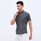 Men's Dark Grey Cotton Regular Collar Casual Shirt, Dark Grey, small image number null