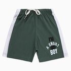Boys' Bermuda, ओलिव, small image number null