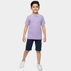 Boys Lilac Cotton Polo Collar Preppy Half Sleeves T-Shirt, Lilac, small