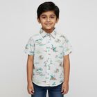 Boys' 100% Cotton Casual Shirt, Light Blue, small image number null