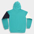 Boys Bright Teal Hooded Neck Casual Sweatshirt, गहरा हरा, small image number null