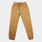 Boys Brown Regular Fit Cargo Jogger Trousers, भूरा, small