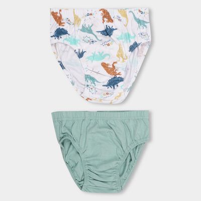 Boys' 100% Cotton Briefs 