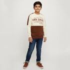 Boys' Sweatshirt, भूरा, small image number null