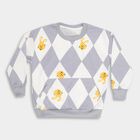Boys Light Grey Crew Neck Casual Sweatshirt, हल्का ग्रे, small image number null