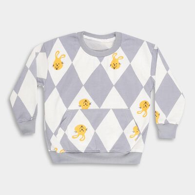 Boys Light Grey Crew Neck Casual Sweatshirt