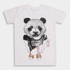Boys' Half Sleeves T-Shirt , एक्रू मिश्रित, small image number null