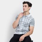 Men's 100% Cotton Collared Half Sleeves T-Shirt , Light Grey, small image number null