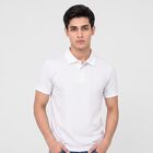 Men's White Cotton Polo Neck Polo T-Shirt, White, small
