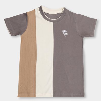 Boys' 100% Cotton Half Sleeves T-Shirt 