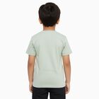 Boys Light Sage Green Cotton Crew Neck Casual T-Shirt, हल्का हरा, small image number null