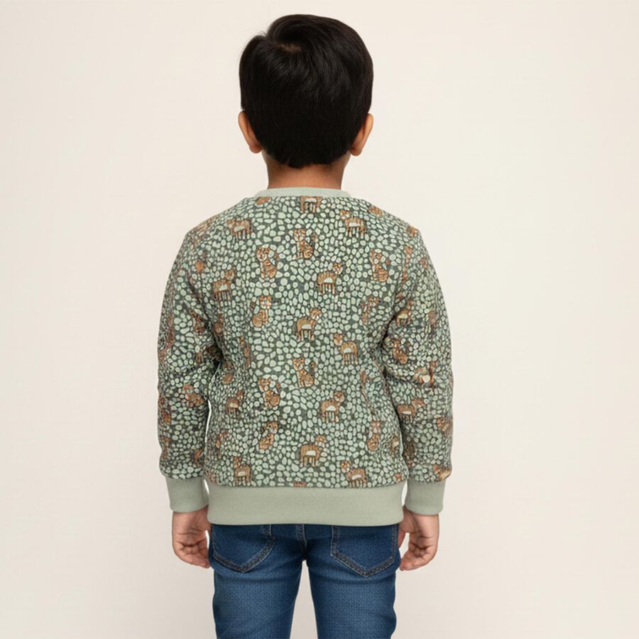 Boys' Sweatshirt, Light Green, large image number null
