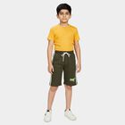 Boys' Olive Green Regular Fit Side Stripe Jamaican Shorts, Olive, small