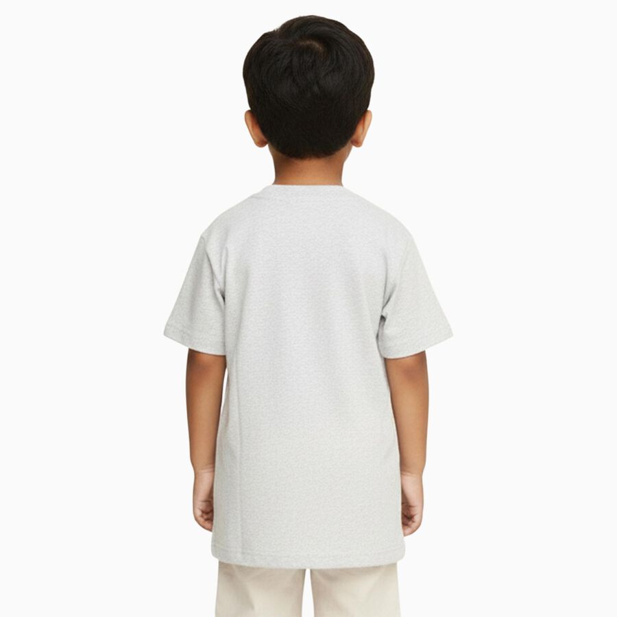 Boys Light Grey Crew Neck Casual T-Shirt, Ecru Melange, large image number null