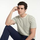 Men's Green Round Neck Striped Regular T-Shirt, Light Green, small