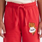 Girls Fuchsia Straight Fit Teddy Embroidered Pyjama, रानी (फ्यूशिया), small