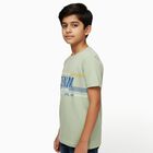 Boys Light Sage Green Round Neck Casual T-Shirt, हल्का हरा, small