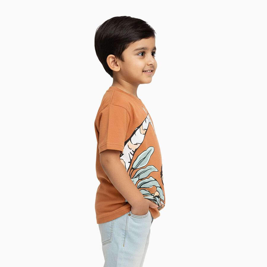 Boys Warm Terracotta Orange Cotton Round Neck Casual T-Shirt, Brown, large image number null