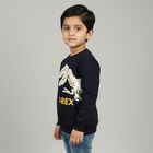 Boys Navy Blue Crew Neck Graphic Pullover, नेवी ब्लू, small image number null