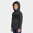 Boys' Dark Grey Hoodie Neck Graphic Print Sweatshirt, Dark Grey, small