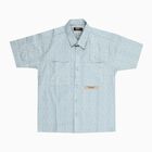Boys' 100% Cotton Casual Shirt, Light Green, small image number null