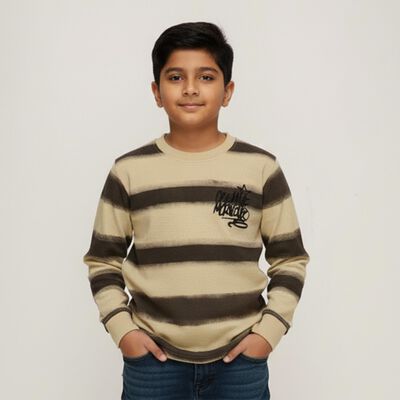 Boys Beige Crew Neck Casual Striped T-Shirt