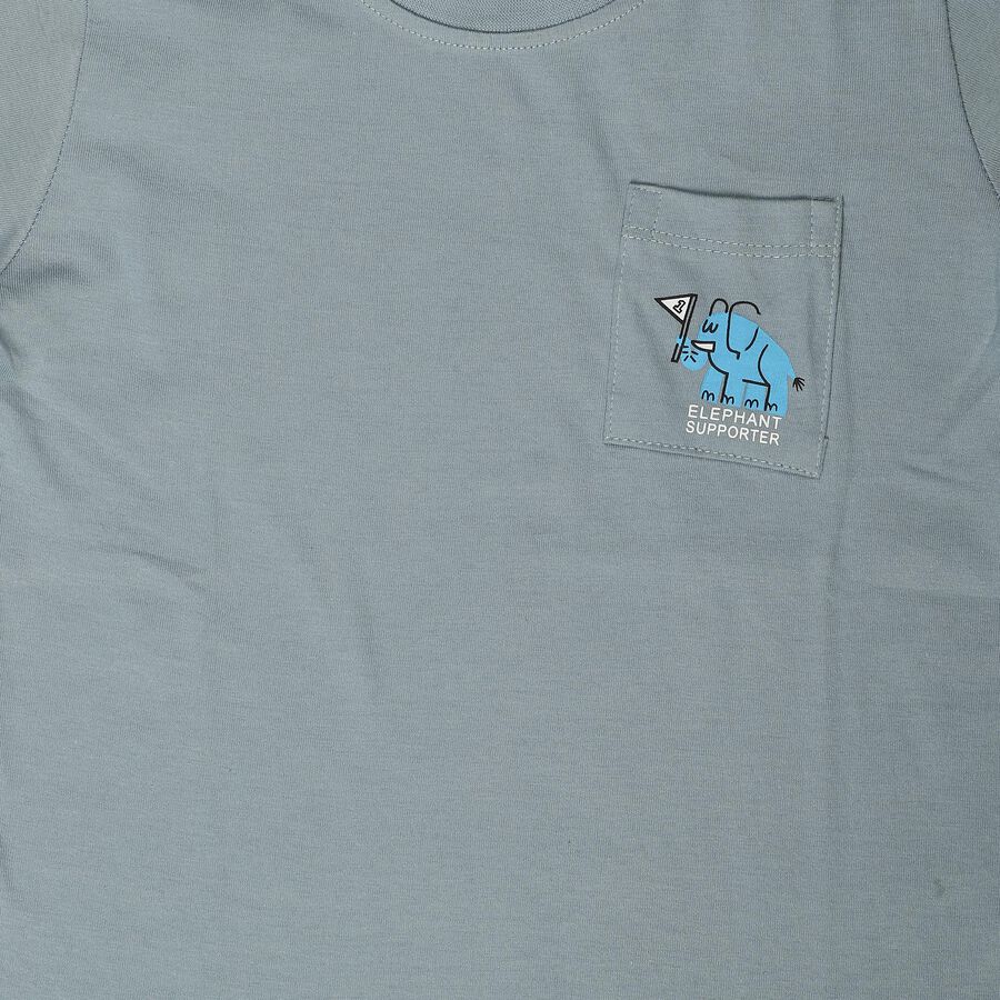 Boys Light Blue Cotton Crew Neck Regular Boys T-Shirt, Light Blue, large