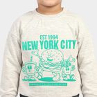 Boys Grey Crew Neck Graphic Print Sweatshirt, Melange Light Grey, small