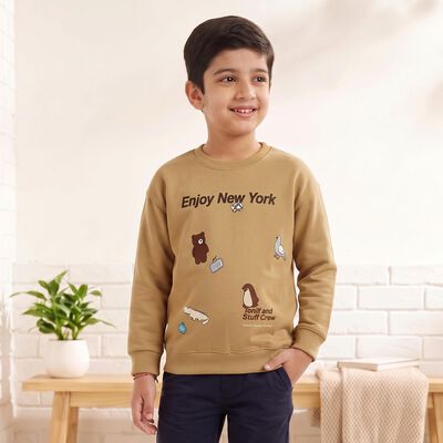 Boys Beige Crew Neck Graphic Print Sweatshirt