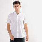 Men's Rich Eggshell White Cotton Regular Collar Casual Shirt, White, small image number null