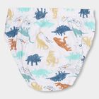 Boys' 100% Cotton Briefs , Light Green, small image number null