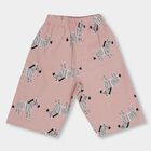 Boys' Basic Jamaican , Pink, small image number null