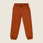 Boys Rust Orange Regular Fit Jogger Trousers, भूरा, small image number null