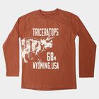 Boys Brown Cotton Blend Round Neck Regular Boys T-Shirt, Brown, small
