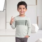 Boys' Mint Green Cotton Round Neck Regular T-Shirt, हल्का हरा, small