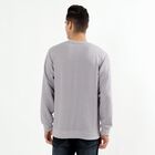 Men's Light Grey Crew Neck Textured Sweatshirt, हल्का ग्रे, small image number null