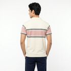 Men White Cotton Polo Neck Polo T-Shirt, ऑफ व्हाइट, small