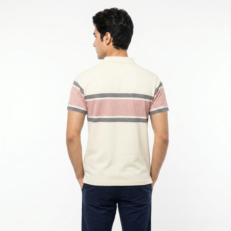Men White Cotton Polo Neck Polo T-Shirt, ऑफ व्हाइट, large