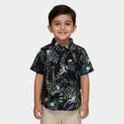 Boys Navy Blue Cotton Half Sleeve Classic Casual Shirt, Navy Blue, small