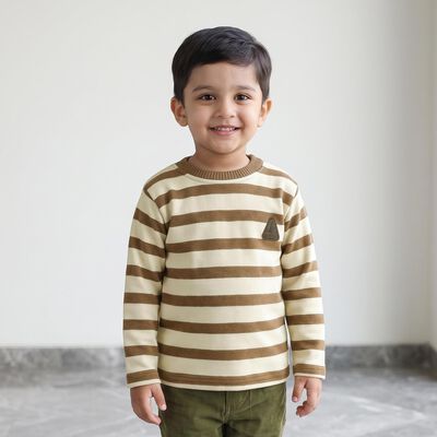 Boys' Brown Crew Neck Striped Pullover